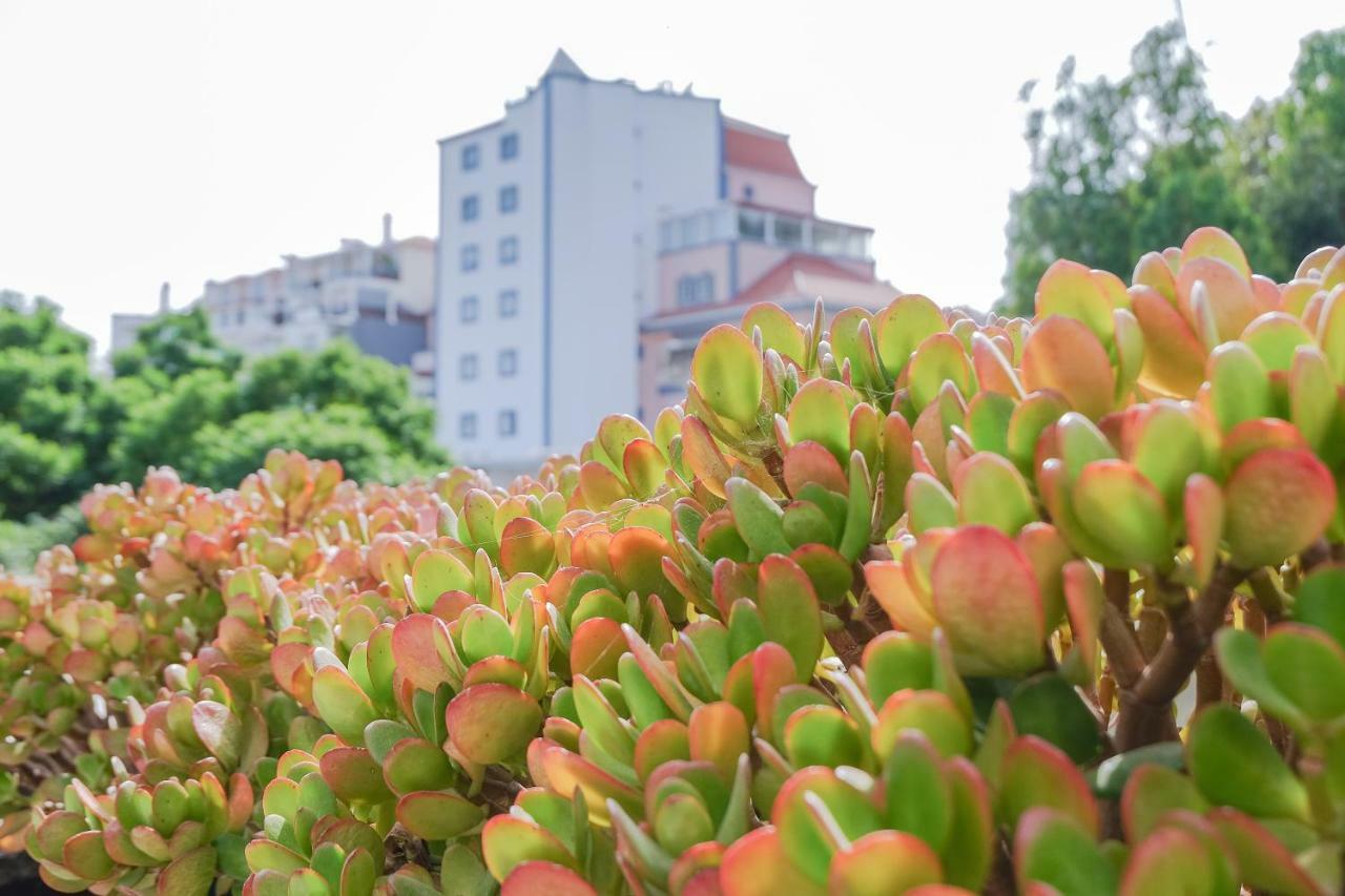 Cacao Estoril Apartment Exterior foto